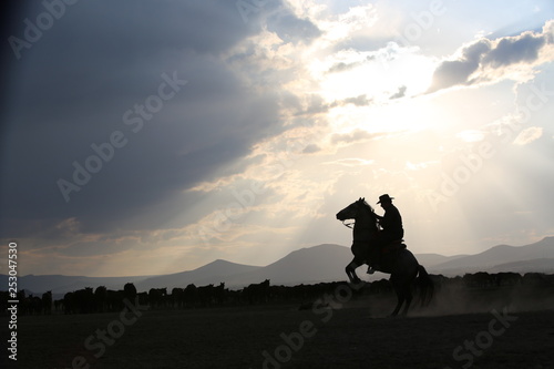 man on horseback ( life style)