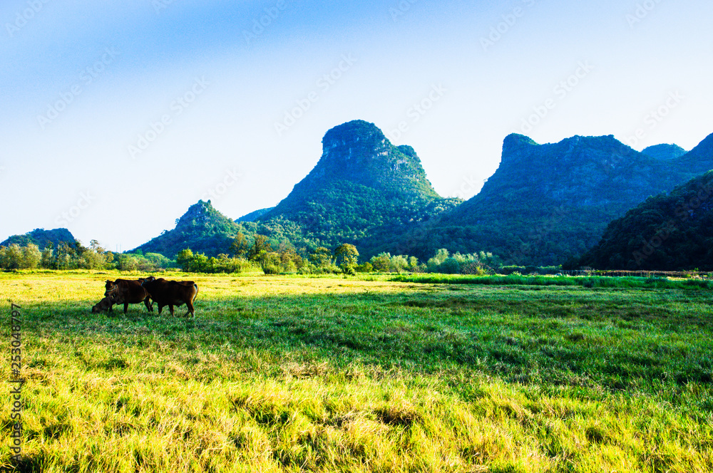 Obraz premium landscape with mountains