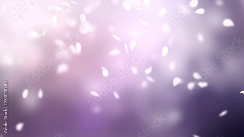 Pink petals of sakura falling on romantic elegant abstract background. Looped 4K motion spring blossom graphic.