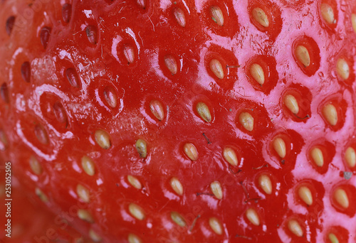 closeup of strawberry