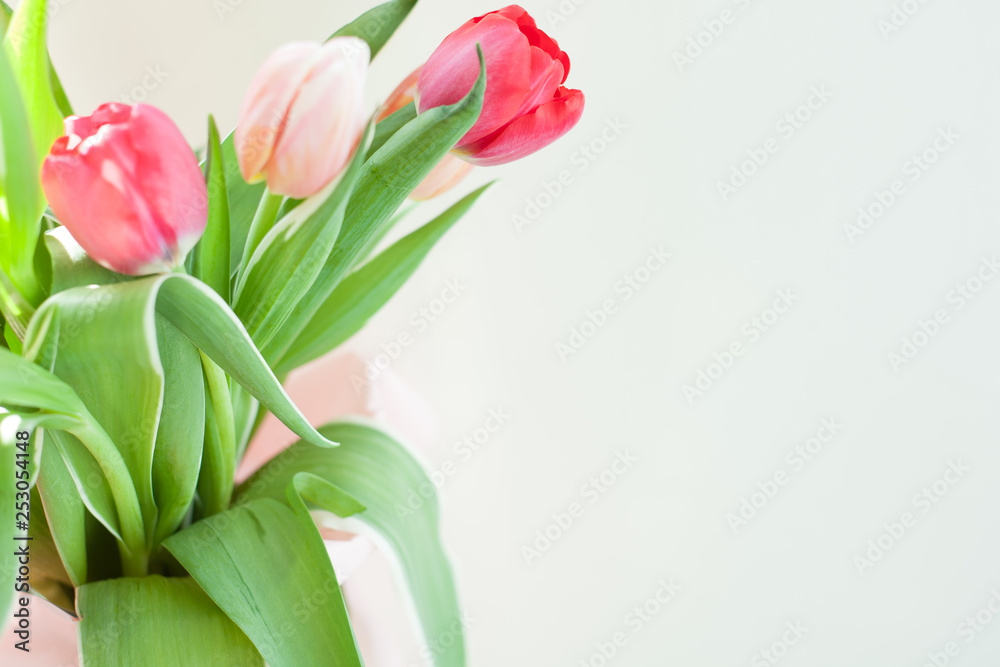 spring background with tulips spring background with tulips