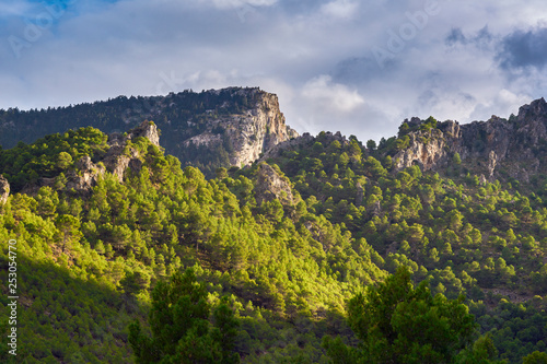 Landscape of the Sierra de las Nieves Natural Park in Malaga, Spain