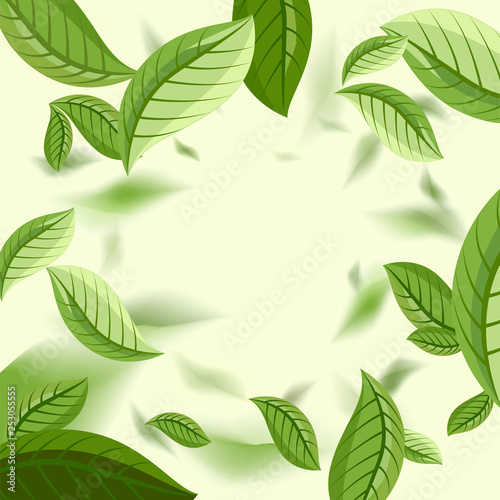 vector background with green tea leaves