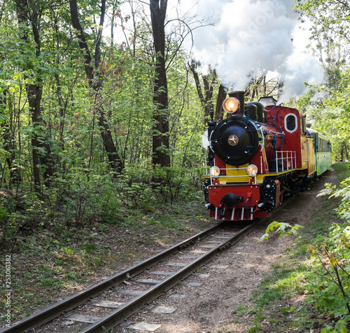 Steam locomotive going through the park