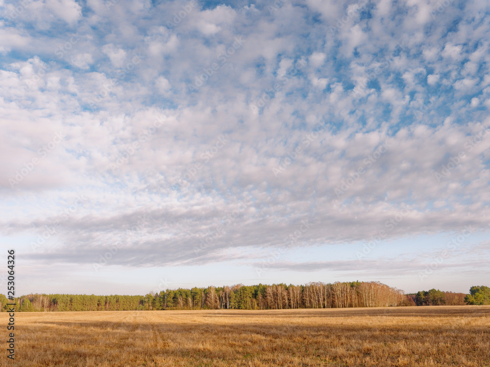 the beginning of spring. clouds are floating over the field. the beginning of spring. clouds are floating over the field.