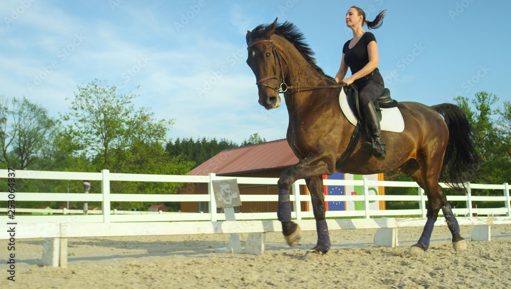LOW ANGLE: Active girl trotting on her horse around the sandy arena on sunny day LOW ANGLE: Active girl trotting on her horse around the sandy arena on sunny day