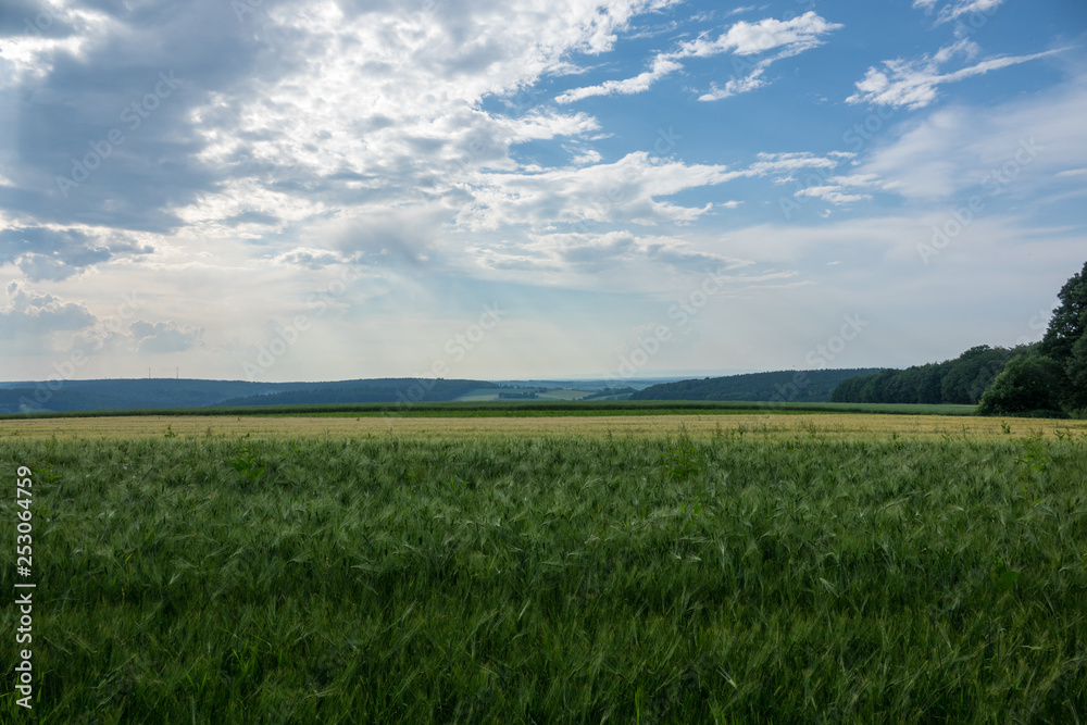 Gerstenfeld