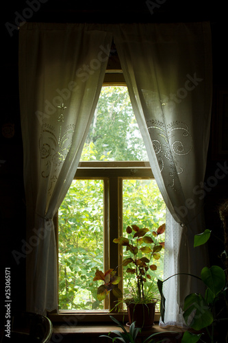 summer morning through the window. flower on the windowsill