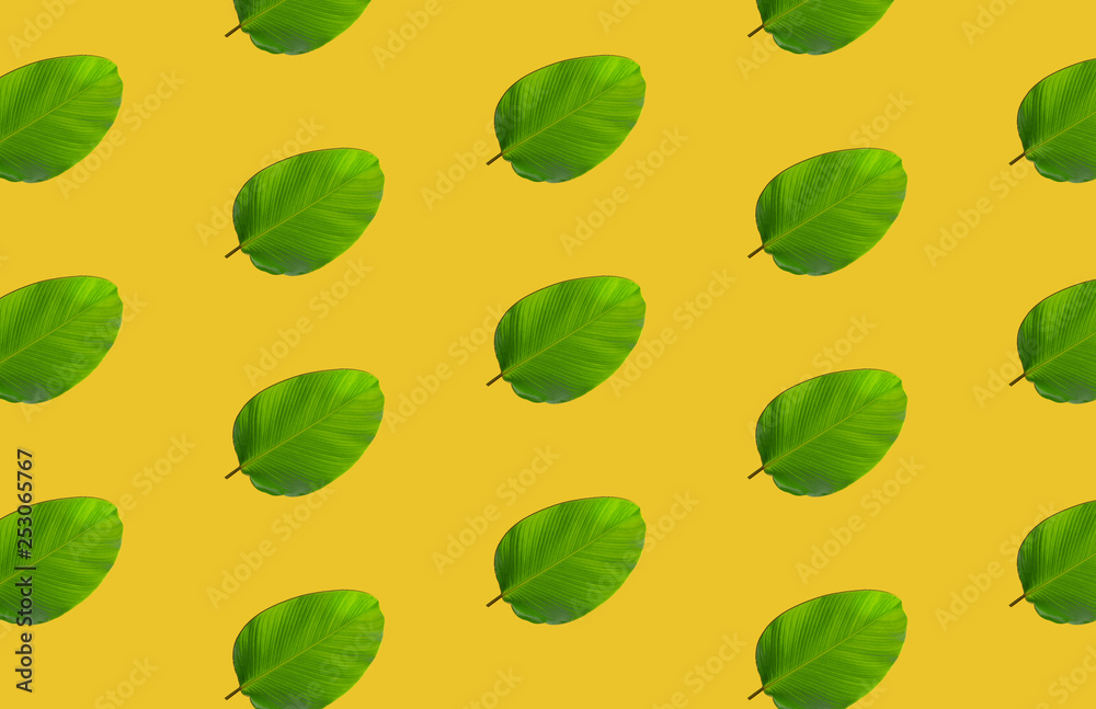 pattern of green leaves over yellow background
