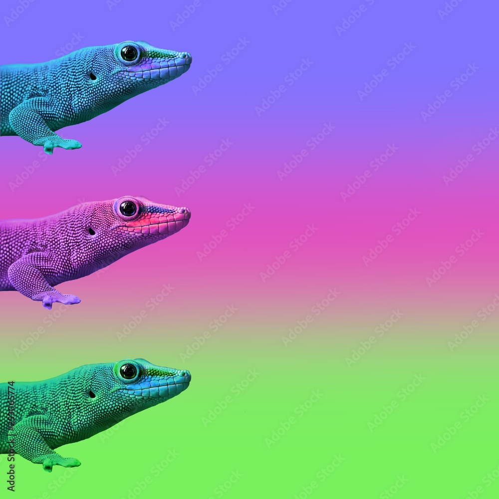 Fototapeta premium Contemporary art college,multicolor exotic animals lizards. Cold blooded on a colored background