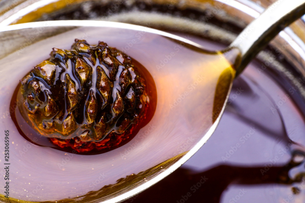 Spruce cones jam on spoon.