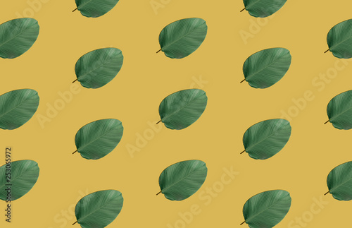 tropical green leaf pattern on yellow background