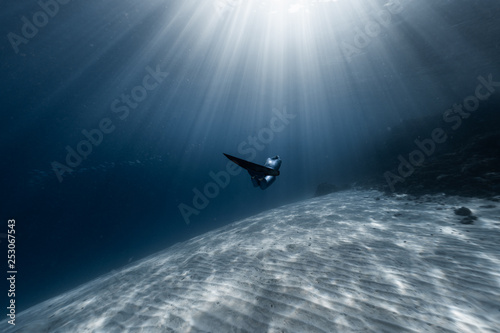 Woman freediver glides in the depth among the school of fish over the sandy bottom with sun rays shining through the water