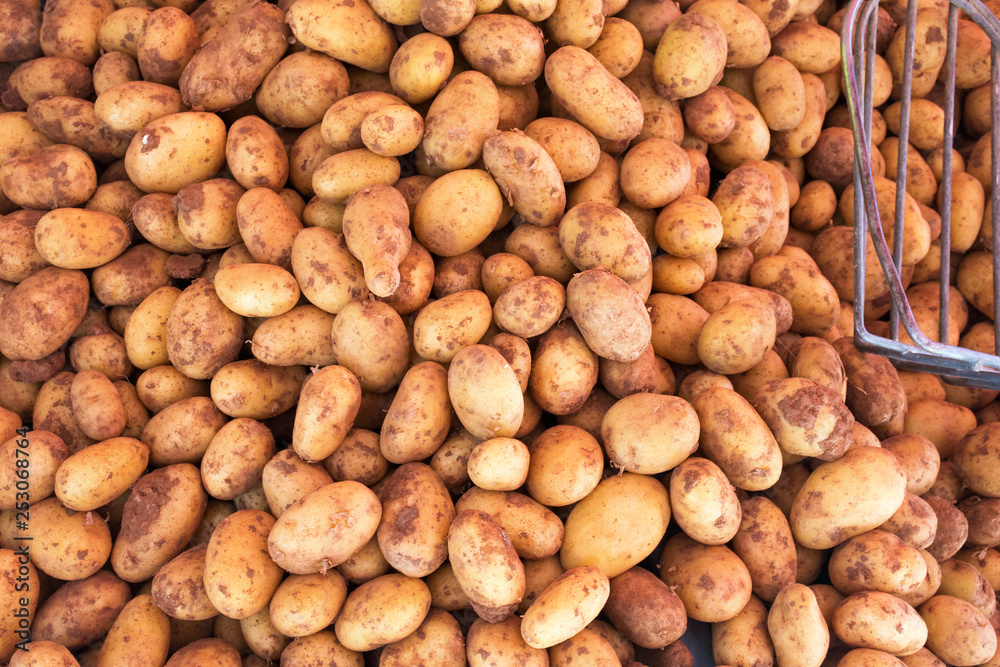 Fresh potatoes in the vegetable market. View from above Fresh potatoes in the vegetable market. View from above