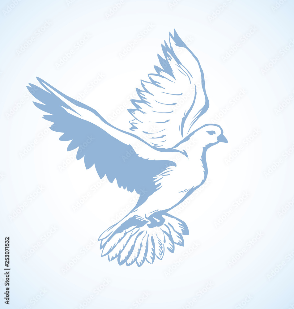 Vector illustration Flying dove Vector illustration Flying dove