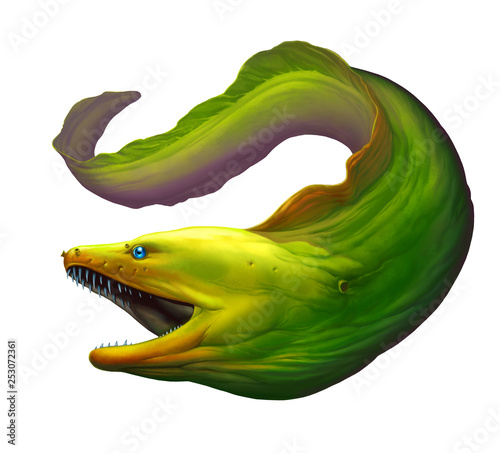 Moray eel Green. Large green moray eel with open mouth and thick row of sharp teeth of needles. photo