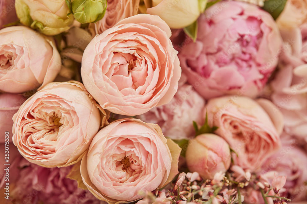 close up of bouquet of pink peonies close up of bouquet of pink peonies