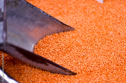 Red masoor lentil being picked to be sold by weight by an iron scoop in a wholesale market in Old Delhi, India photo