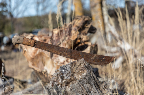 Old, rusted machette photo