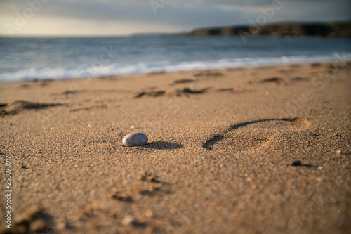 Pebble on a beach