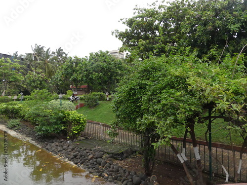 bridge in the park