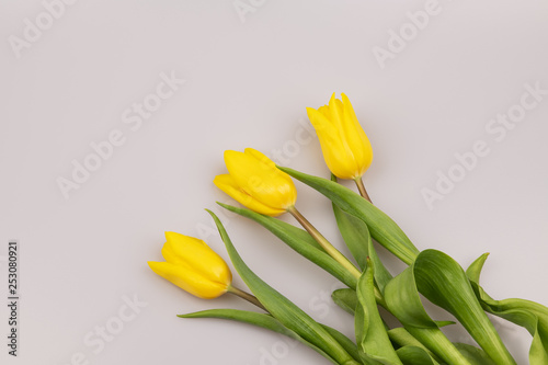 Fototapeta Naklejka Na Ścianę i Meble -  Bouquet of yellow flowers tulips isolated on white