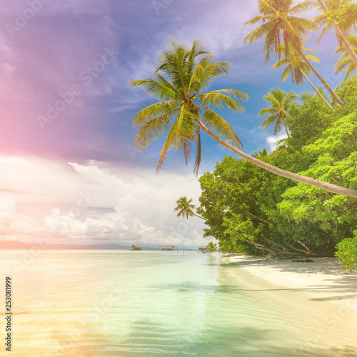 Idillyc background of tropical island beach - calm ocean, palm trees, blue sky