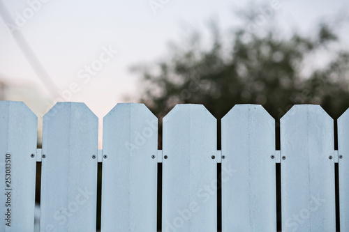 White wooden fence background.