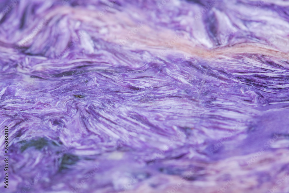 Obraz premium Top grade Charoite polished slab from Sakha Republic, Siberia, Russia like art background, texture. Charoite Jade.