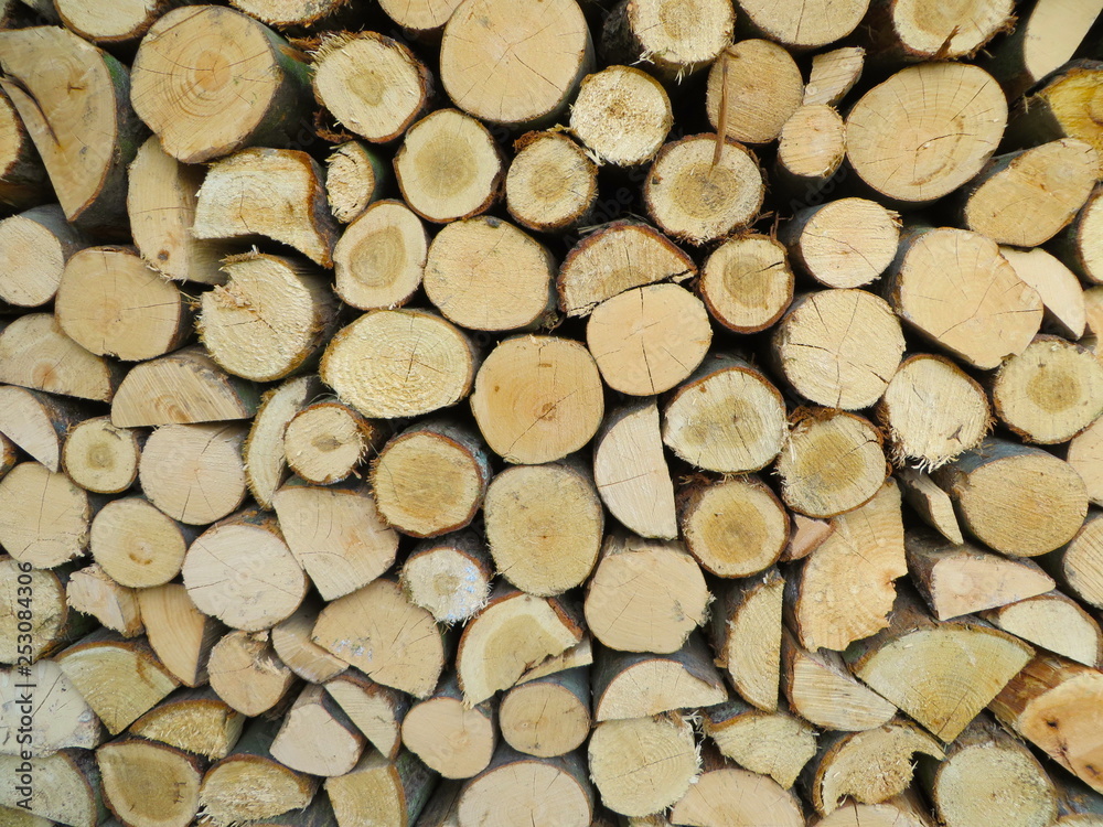 Holzscheite