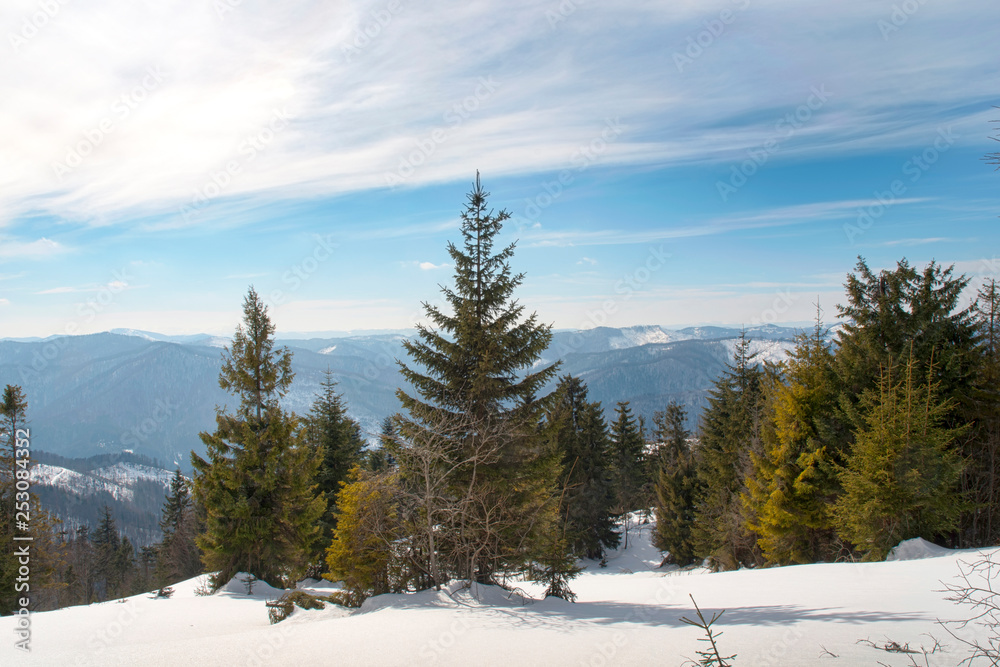 frosty day on the top of the mountain