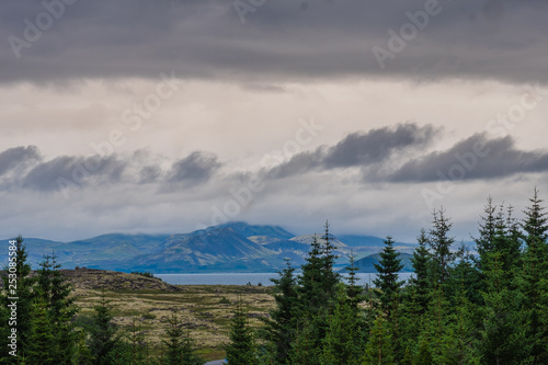 Landschaft