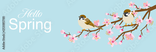 Two small birds perch on cherry blossom branch, including words “Hello Spring" -House Sparrow, Header ratio