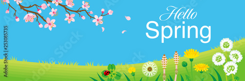 Cherry blossom branch and Wildflowers in the Spring grassland, including words “Hello Spring" -Header ratio