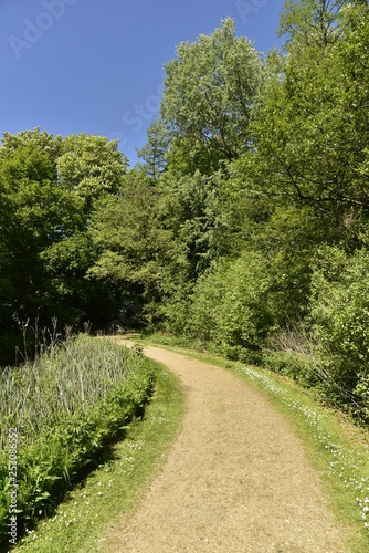Chemin courb   longeant un bras d eau couvert de v  g  tation dans la for  t luxuriante du domaine provincial de Rivierenhof    Anvers