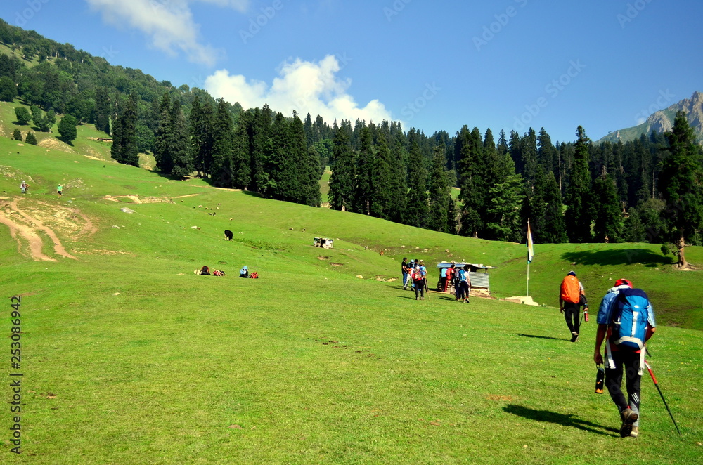 Trekkers on the Kashmir Great Lakes trek during trekking towards the pine forest. This is an alpine himalayan high-altitude trek in Kashmir Valley in Sonamarg, Jammu & Kashmir, India Trekkers on the Kashmir Great Lakes trek during trekking towards the pine forest. This is an alpine himalayan high-altitude trek in Kashmir Valley in Sonamarg, Jammu & Kashmir, India
