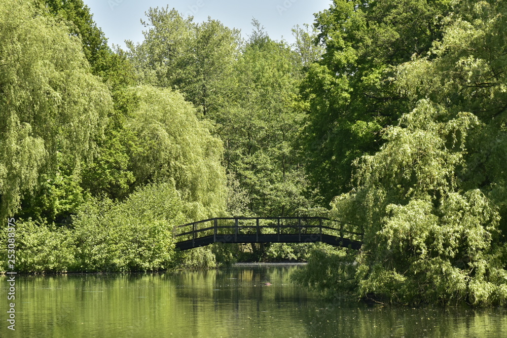Fototapeta premium Passerelle traversant un chenal étroit entre deux étangs en plein coeur de la végétation dense et luxuriante du domaine provincial du Rivierenhof à Anvers
