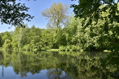 L'un des grands étangs et son reflet entouré d'une végétation luxuriante dans le bois du domaine provincial du Rivierenhof à Anvers