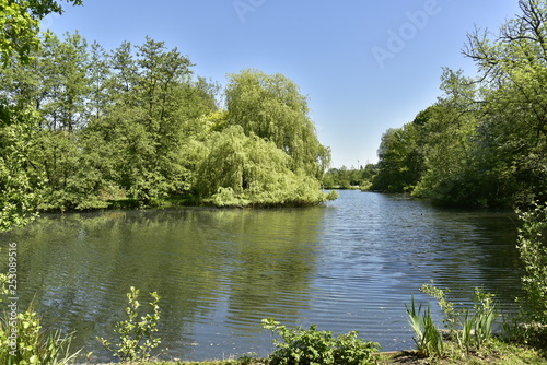 L'un des grands étangs et son reflet entouré d'une végétation luxuriante dans le bois du domaine provincial du Rivierenhof à Anvers