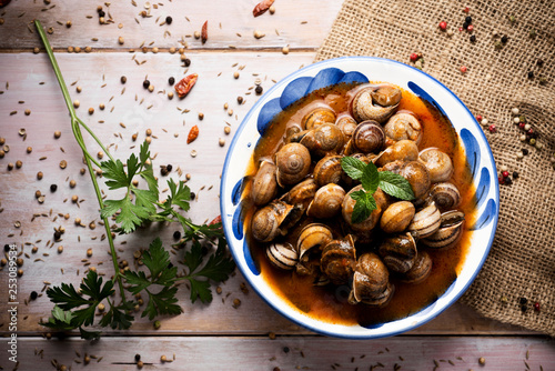 spanish caracoles en salsa, cooked snails in sauce photo