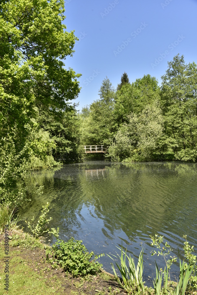 Le petit pont en bois accédant à l'ile au milieu de la nature sauvage à l'un des étangs au domaine de Rivierenhof à Anvers