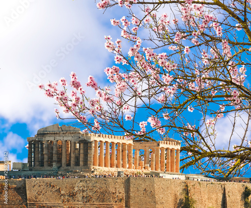 Parthenon spring season almond's flrowers Acropolis in Athens