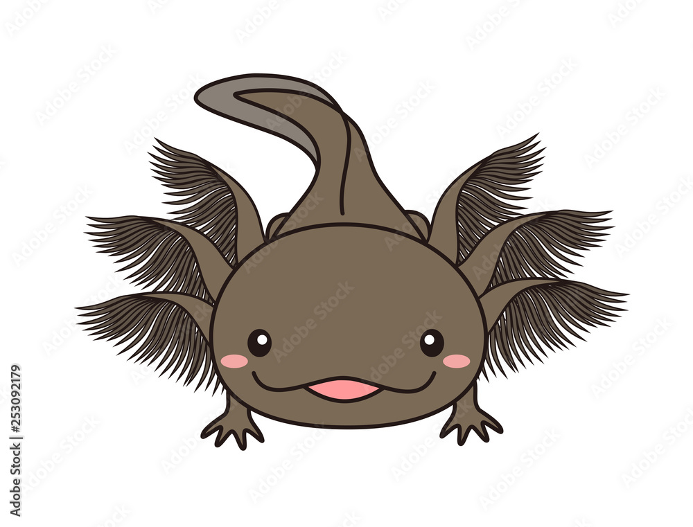 Fototapeta premium ウーパールーパー イラスト ブラック