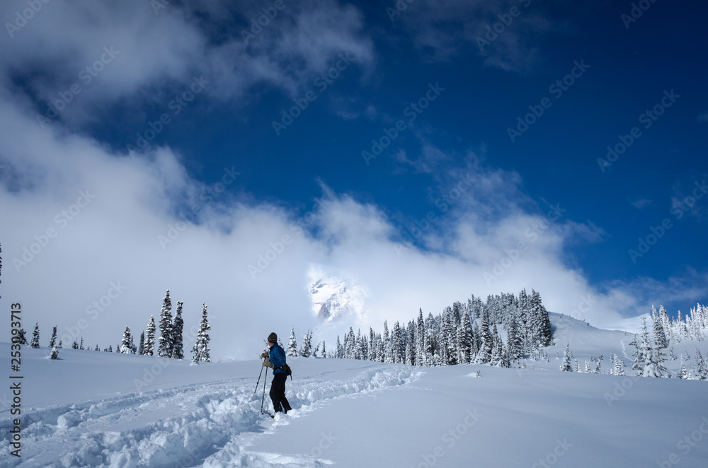 Stunning view of Mount Rainier