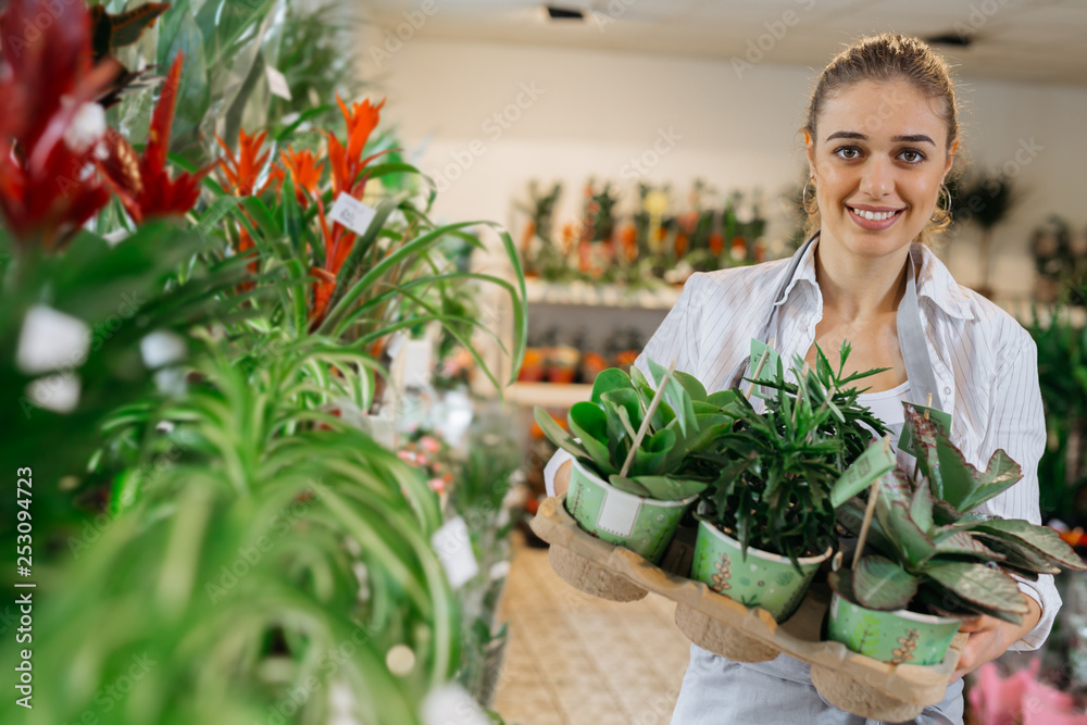 woman florist holding crate of green plants in flower shop