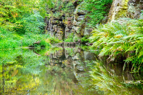 Fototapeta Naklejka Na Ścianę i Meble -  Lush greenery. Grass, bracken, sandstone rocks reflection in water surface.