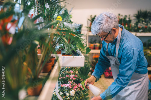 middle aged worker watering flowers in flower shop