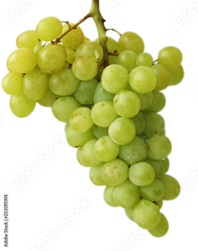 Juicy bunch of emerald green grapes