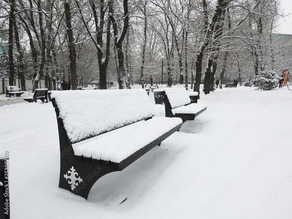 BENCH IN SNOW ON CITY PARK 