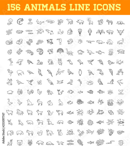 Fototapeta Naklejka Na Ścianę i Meble -  Line animals concepts. Vector thin Icons set